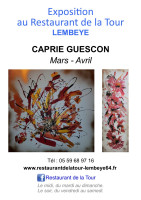 /album/galerie-de-photos-exposition/1-expo-restaurant-de-la-tour-lembeye-mars-avril-2026-jpg1/